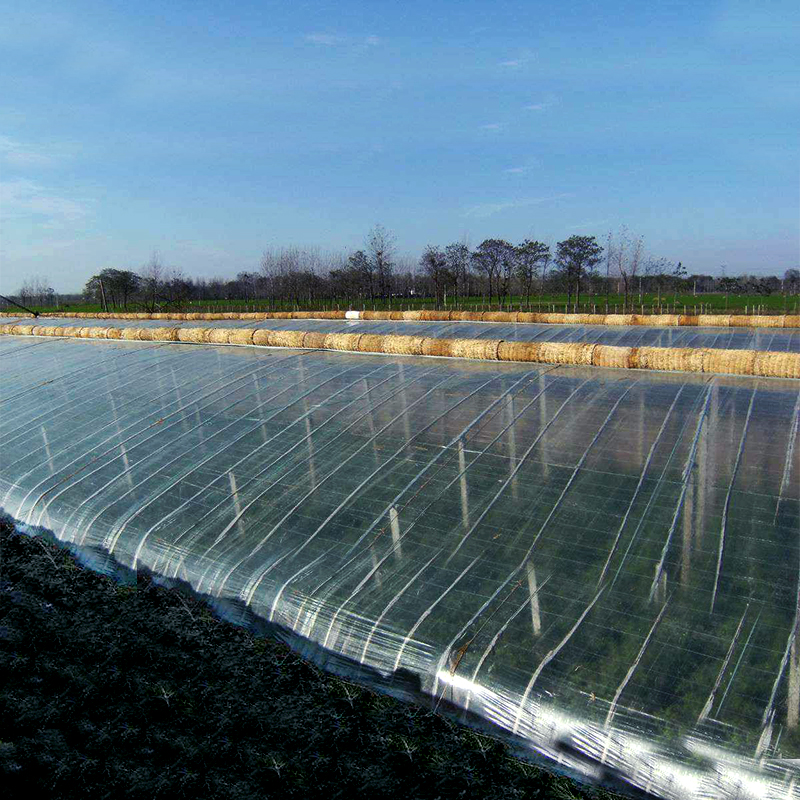 靖边生产晾晒盘价格