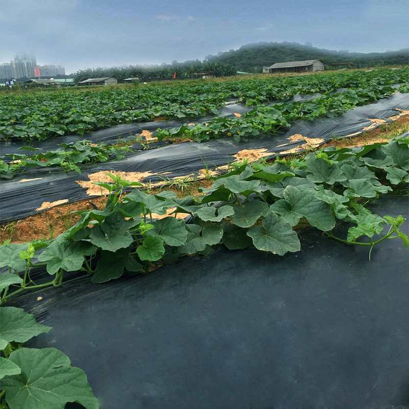 临河专业三防薄膜哪家好