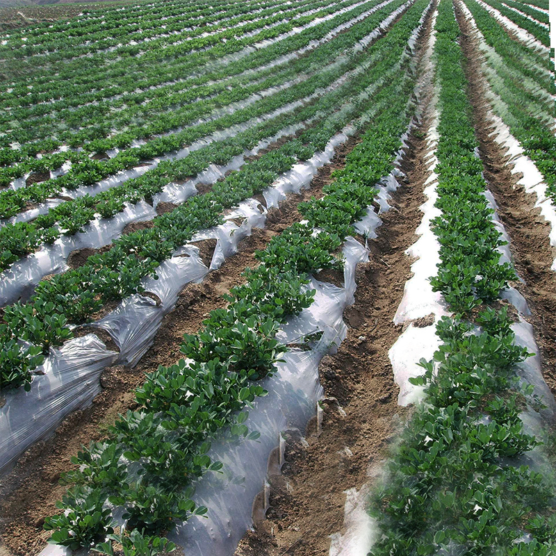 天水专业塑料制品厂家