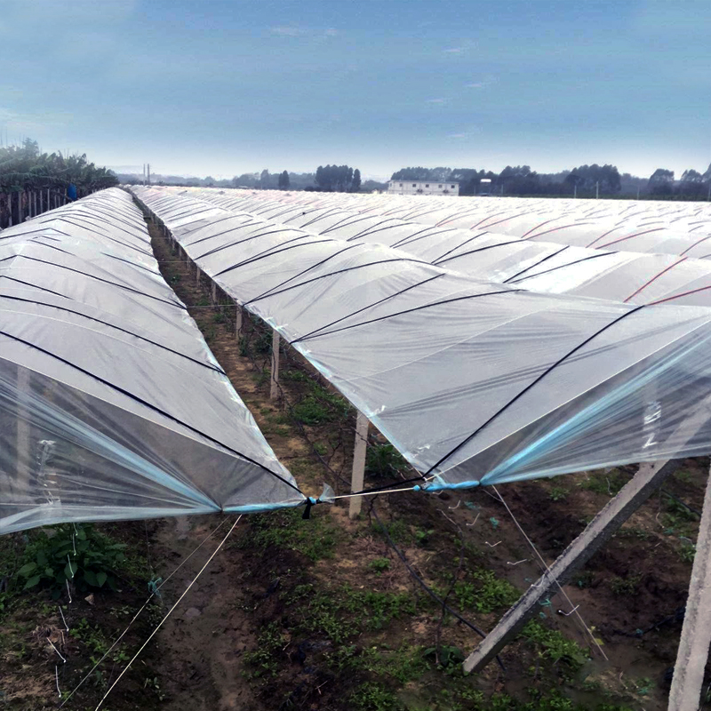 宁夏提供农用薄膜价格