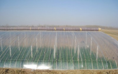 临河专业三防薄膜哪家好