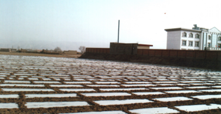 兰州生产农用地膜厂家