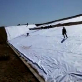 天水专业农用地膜价格